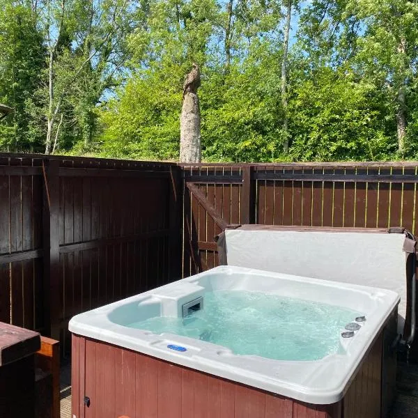 Birch Lodge 21 with Hot Tub, hotel in Newton Stewart