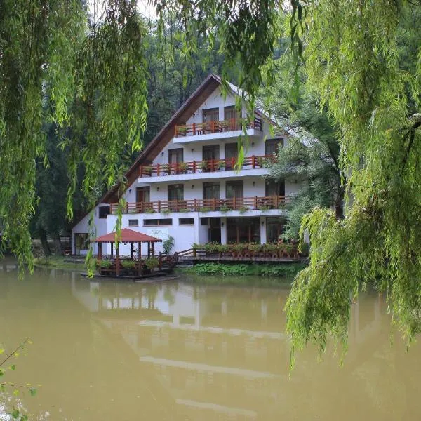 Guest house Lacul Linistit, ξενοδοχείο σε Moneasa