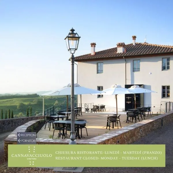 Laqua Vineyard, hotel en Terricciola