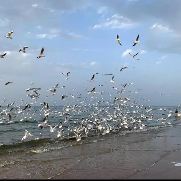 Muscat Homestay & Hospitality, hotel en Mascate