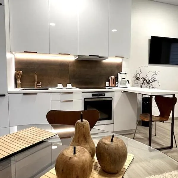 Kaunas Old Town Apartment, hotel v destinácii Kaunas