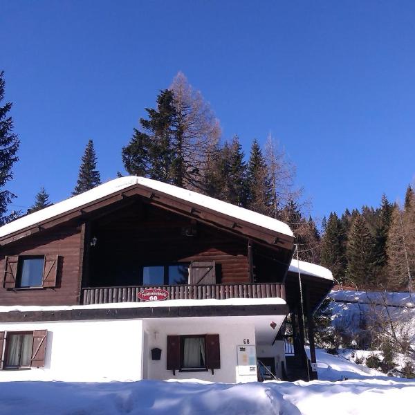 Fichtenblockhütte