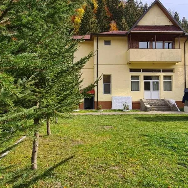 PENSIUNEA HARTAGU, hotel in Baile Siriu