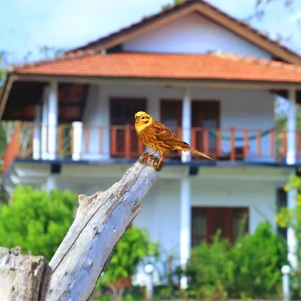 Pearl Cave Cabanas & Resturant, hotel v Tangalle