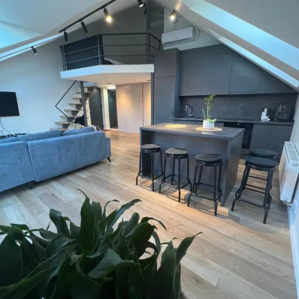 LOFT 1 BD Castle Apartament with free parking, hotel v destinaci Kaunas
