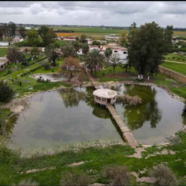 Escape! Ultimate Getaway for Friends, Casablanca