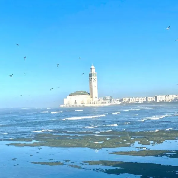 appartement en plein centre de casablanca, hotel in Casablanca