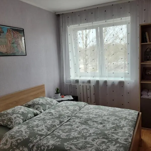 City apartment, hotel in Jelgava