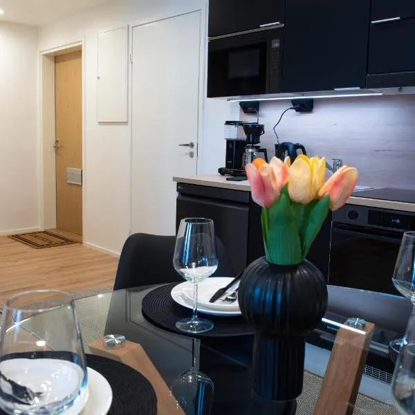 Otava、ロヴァニエミのホテル