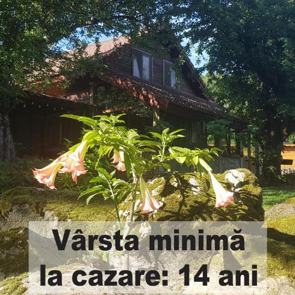 Casa Bunicului