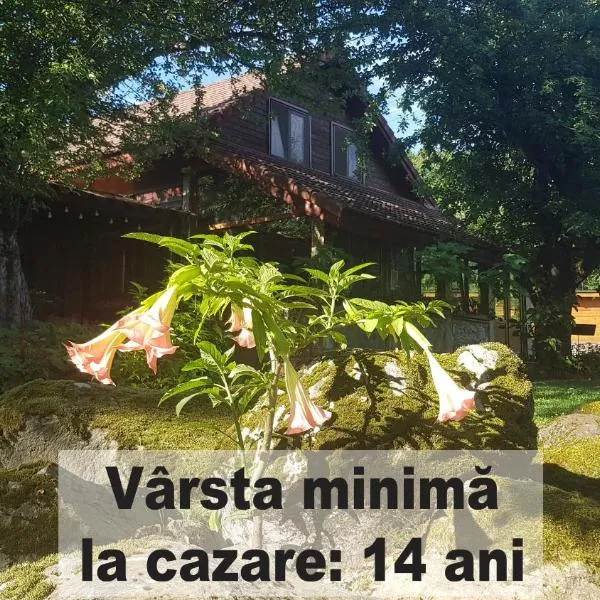 Casa Bunicului, hotel in Vistisoara