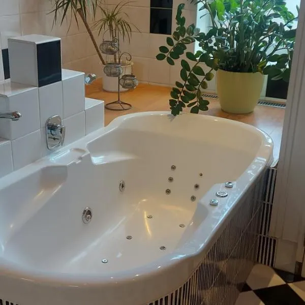 Apartment Belvedere, hotel v Ostravě