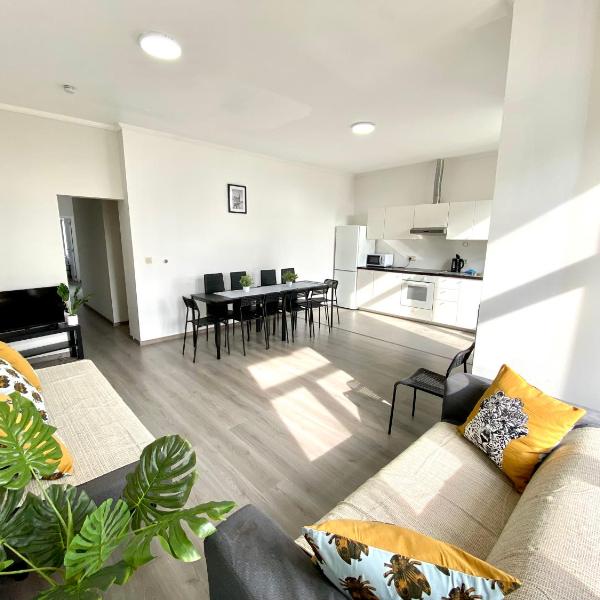 Apartments Plantin 3 sleeping rooms 2 bathrooms., Antwerpia
