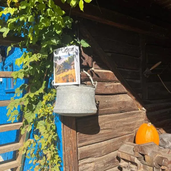 Casa de vacanta traditionala La Fanar, מלון בSchiuleşti