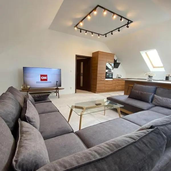 Strzyzewo Witkowskie Luxury Apartment, hotel in Strzyżewo Witkowskie