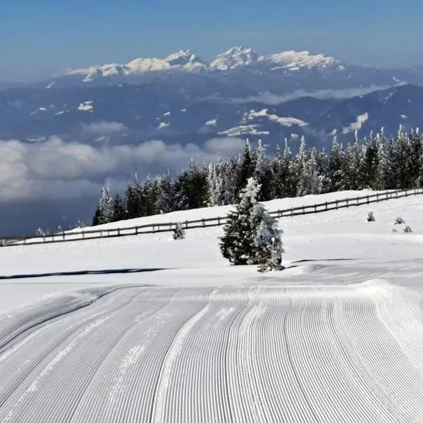 Apartmaji Koželj, hotel in Ribnica na Pohorju