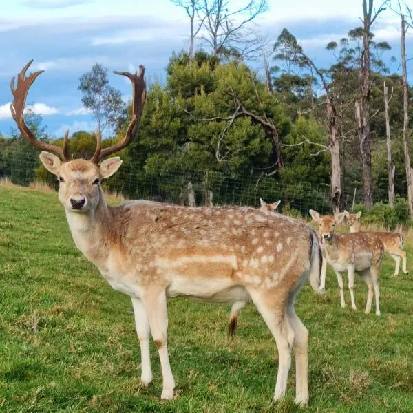 Wally's Edge 20acre Farm Stay, ξενοδοχείο σε Rawson