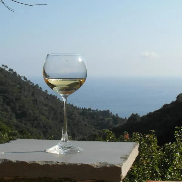 Agriturismo Costa di Campo、ヴェルナッツァのホテル