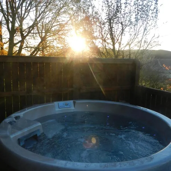 Silver Birch Lodge with Hot Tub, hotel in Cupar