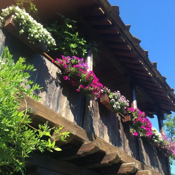 Stefanina Guesthouse, hotel v destinaci Boženci
