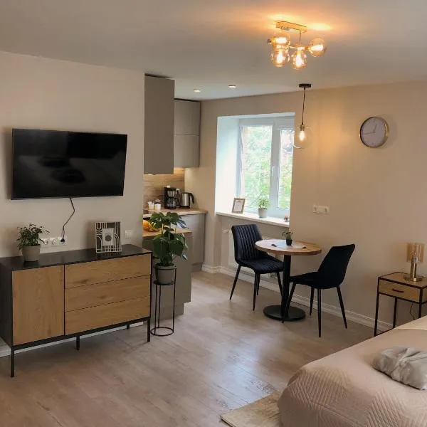 Modern studio apartment near the beach - 5 min walk, ξενοδοχείο στη Λιέπαγια