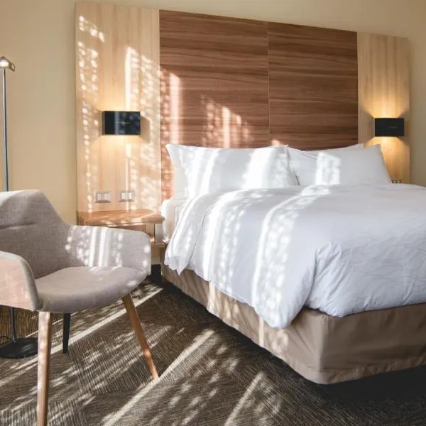 Hotel Costanera Concepcion，康塞普西翁的飯店