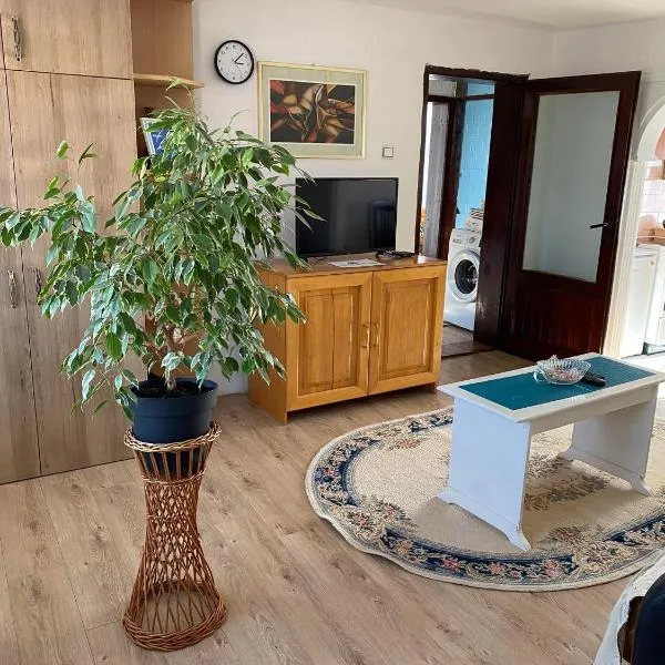 Mićin dom, hotel en Pirot
