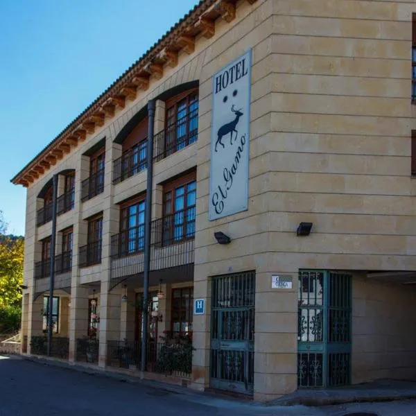 Hotel El Gamo, hotel v mestu Tragacete