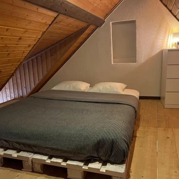 Charmant appartement en duplex à Porrentruy, hotel v destinaci Porrentruy