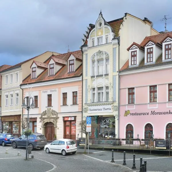 City Hotel Morris，位于捷克利帕的酒店