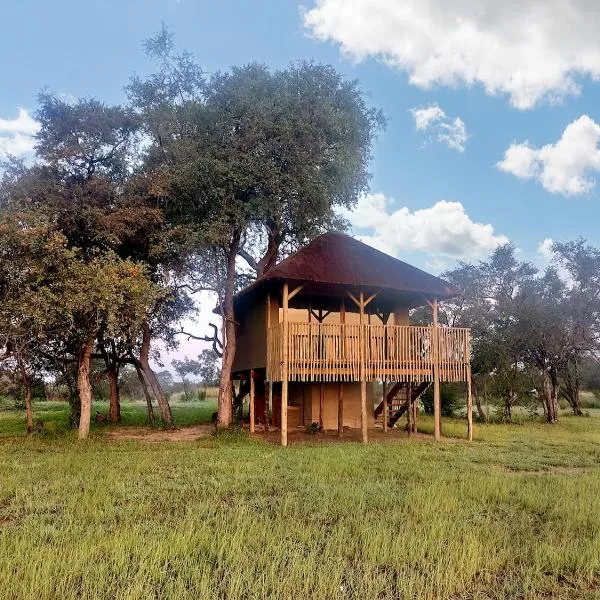 Chobe Hideaway，位于Kasinka的酒店