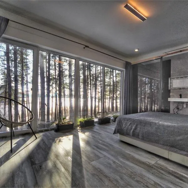 GaujaClub - our BOSE and Bang&Olufsen lofts on a lake, hotel in Gauja