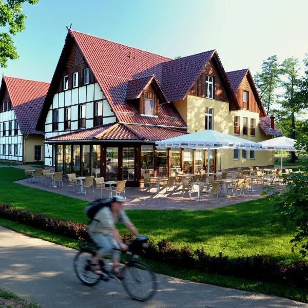 Logis Hôtel Kur- und Wellnesshaus Spree Balance, hotel in Burg