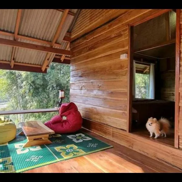 PeaMoo Homestay、チョームトーンのホテル