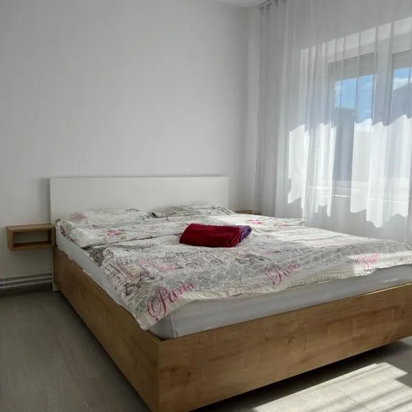 Nicola Flat Mall, hotel em Arad