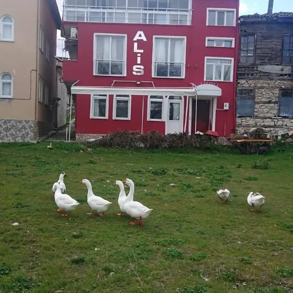 Ali's Pension, hotell sihtkohas Egirdir