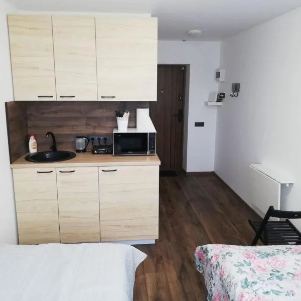 Bridge Apartments Klaipeda, hotel v destinaci Klaipėda