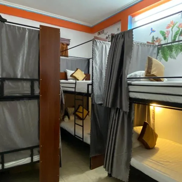 Alex Hostel,位于下龙湾的酒店