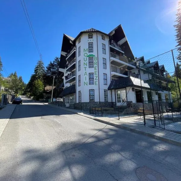Mountain Breeze, hotel in Predeal