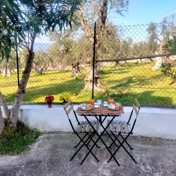 B&B La Torre Antica