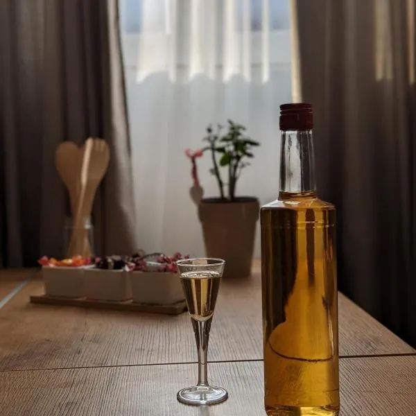 Smestaj Dzentlmen, hotell i Soko Banja