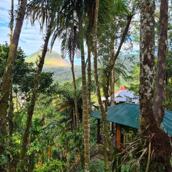 Rimba eco Resort、Tomohonのホテル
