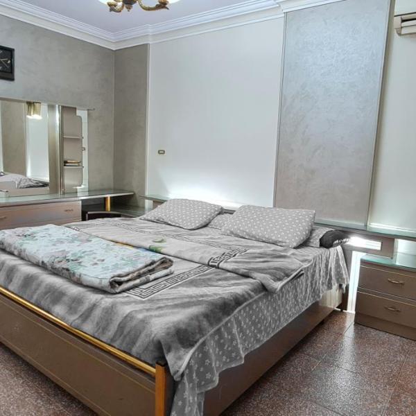 Comfy 2 Bedrooms Apartment in Cairo 98-4