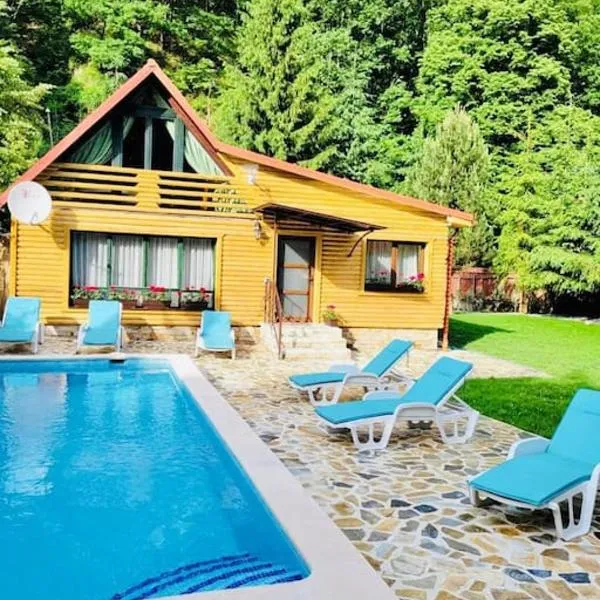 River House Transylvania, hotel in Frăsinet