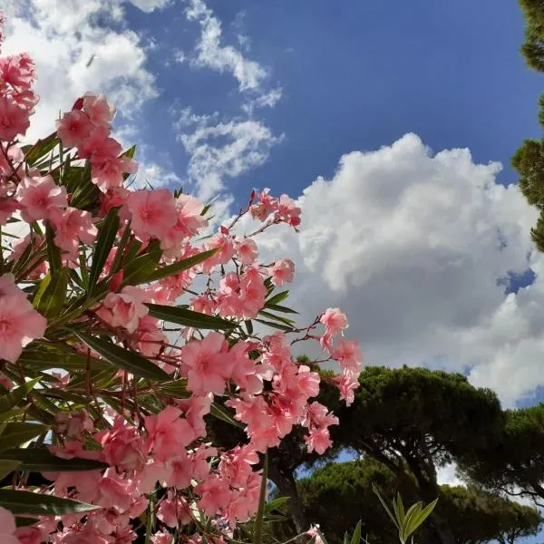 Romea Family Camping, hotel v destinaci Casal Borsetti