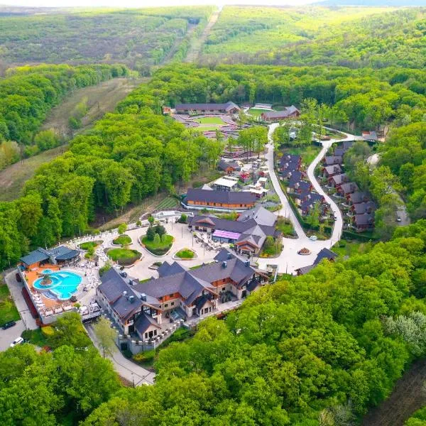 Avalon Resort & SPA, hotel v destinaci Miskolctapolca