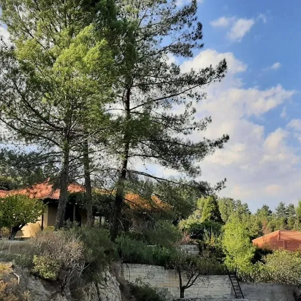 IRENE cottage、カコペトリアのホテル