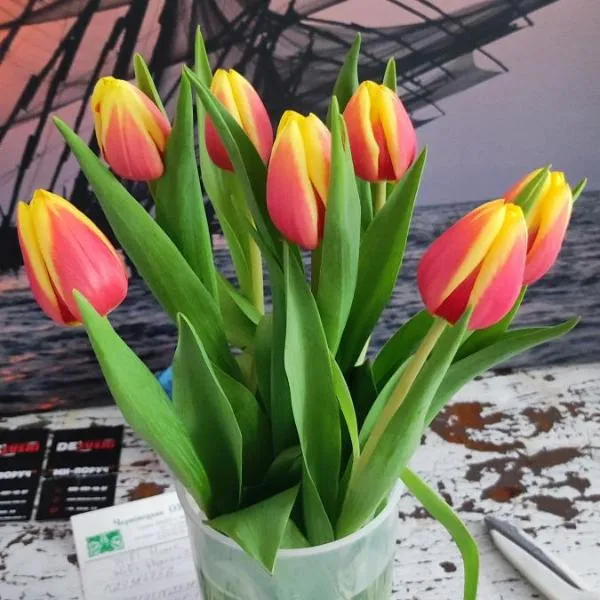 Гостевая комната, hotel a Černivci