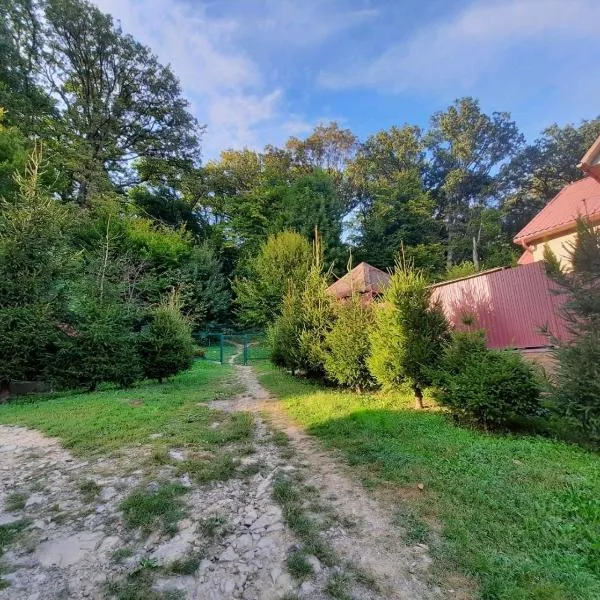 Комфортный, hotel en Karpaty