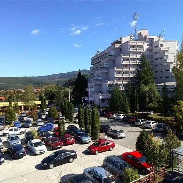 Hotel Montana - Covasna、コバスナのホテル